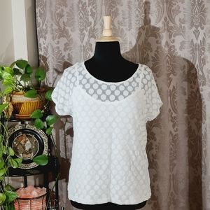 Liz Claiborne XXLT plus size polka dot top